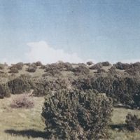 Westridge Ranch Lot 156