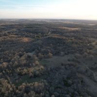 Durant 160 images 2