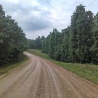 Timber Tract Hunting Land For Sale in Clay County AR images 3