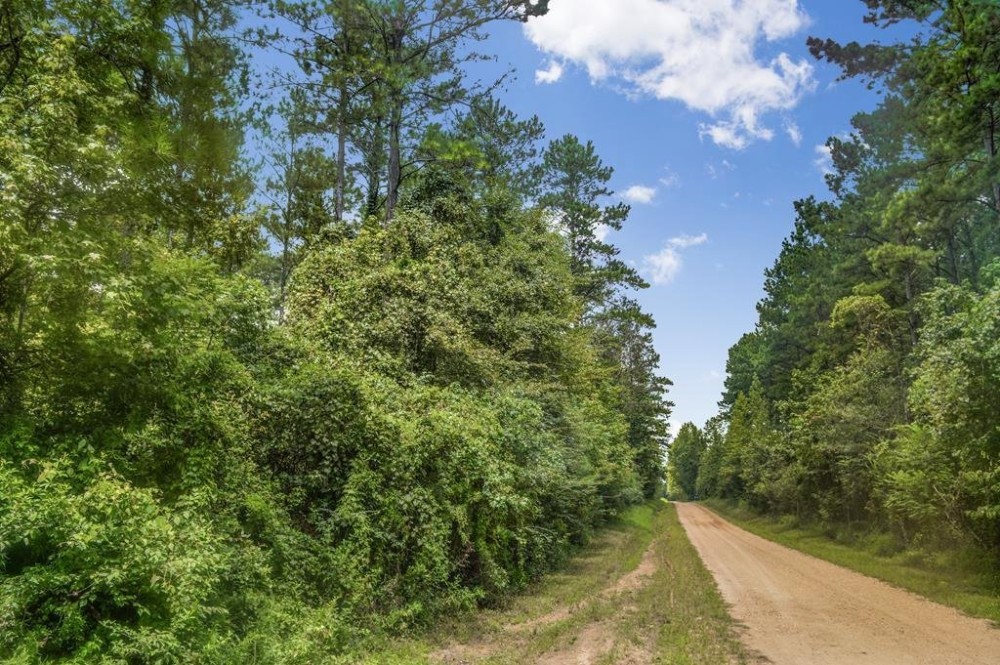 38 Acres Recreational Timberland for Sale Lincoln County MS featured image