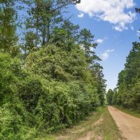 38 Acres Recreational Timberland for Sale Lincoln County MS