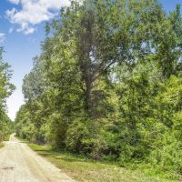 38 Acres Recreational Timberland for Sale Lincoln County MS images 3