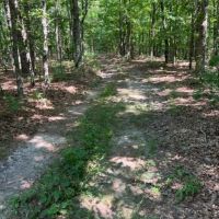 In the Heart of the Ozarks images 2