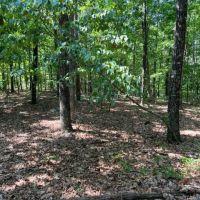 In the Heart of the Ozarks images 4