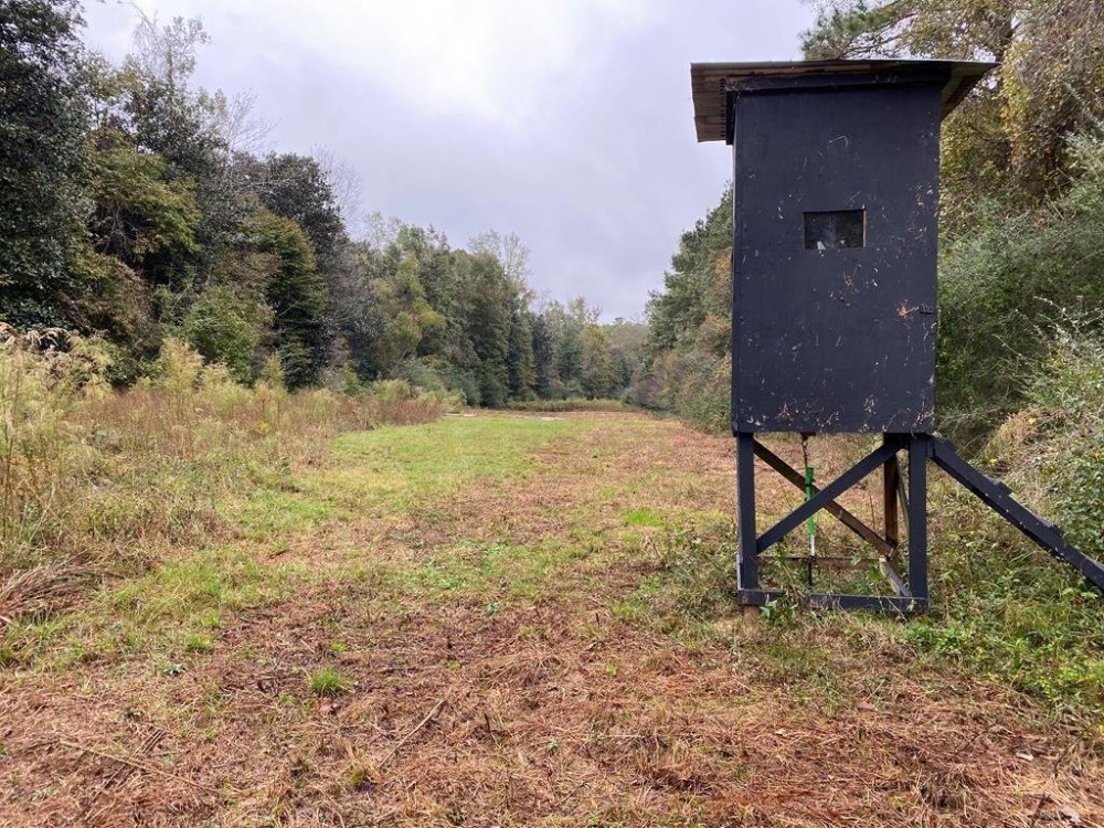 35.3 Acres Land for Sale Amite County MS featured image