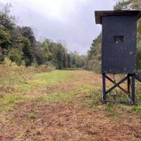 35.3 Acres Land for Sale Amite County MS