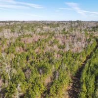 800 Acres Wilkinson County Hunting Land For Sale SW MS