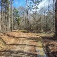 800 Acres Wilkinson County Hunting Land For Sale SW MS images 2