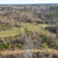 800 Acres Wilkinson County Hunting Land For Sale SW MS images 4
