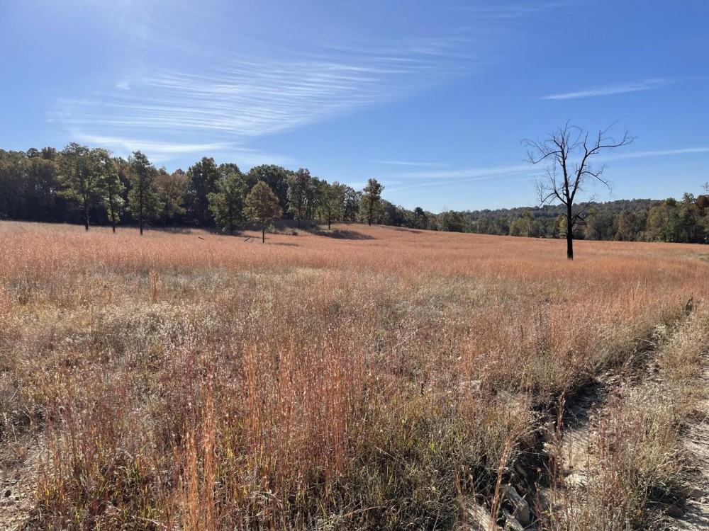 105 - Pond Spring fed Creek Pasture Franklin AR Izard County featured image