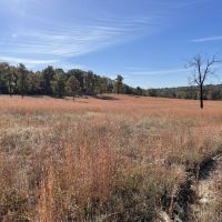 105 - Pond Spring fed Creek Pasture Franklin AR Izard County