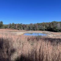 105 - Pond Spring fed Creek Pasture Franklin AR Izard County images 2