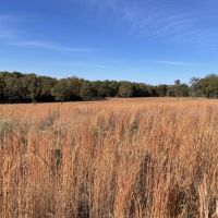 105 - Pond Spring fed Creek Pasture Franklin AR Izard County images 3