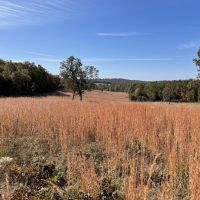 105 - Pond Spring fed Creek Pasture Franklin AR Izard County images 4