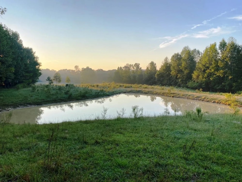 17 Acre Cook Creek Mini Farm featured image