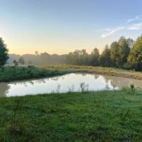 17 Acre Cook Creek Mini Farm