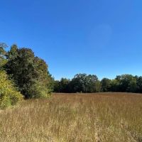 17 Acre Cook Creek Mini Farm images 2