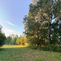 17 Acre Cook Creek Mini Farm images 4