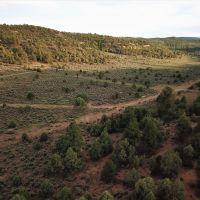 Jicarilla Ranch