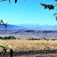 Hulteen Orchards
