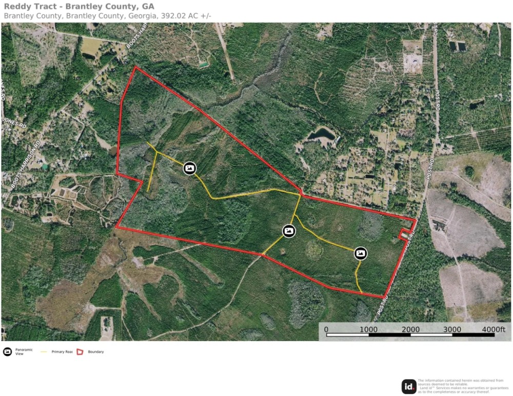 392-acre timber hunting tract in Brantley County featured image