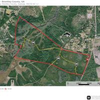 392-acre timber hunting tract in Brantley County