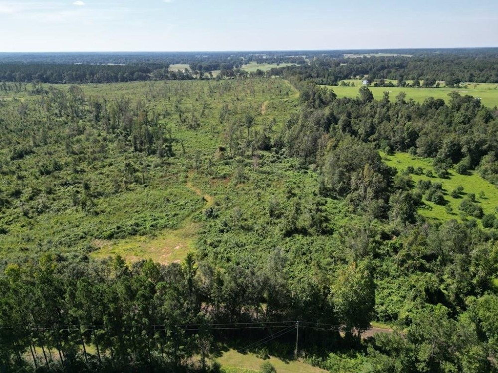 56 - Acres for Sale in Southwest Mississippi featured image