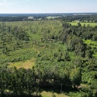 56 - Acres for Sale in Southwest Mississippi