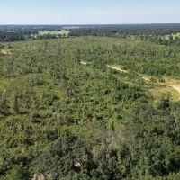 56 - Acres for Sale in Southwest Mississippi images 2