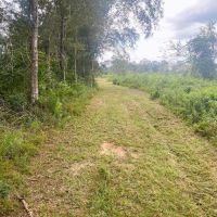 56 - Acres for Sale in Southwest Mississippi images 3