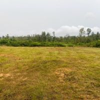 56 - Acres for Sale in Southwest Mississippi images 4