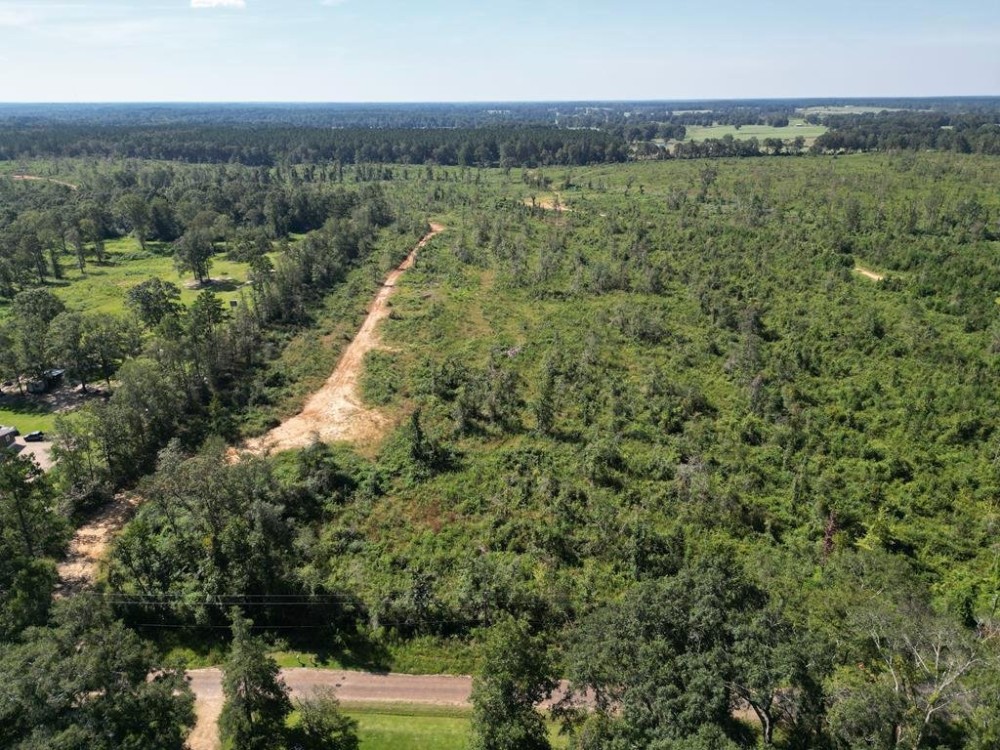 173 - Acres for Sale in Southwest Mississippi featured image