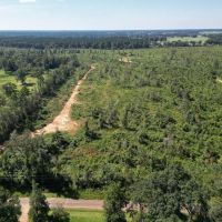 173 - Acres for Sale in Southwest Mississippi
