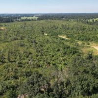 173 - Acres for Sale in Southwest Mississippi images 2