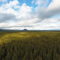 Bull Springs Skyline Forest images 1