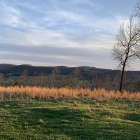 Home For Sale on 54 Acres in Newton Co Ar images 2