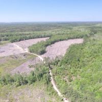 Long County Jones Creek Tract