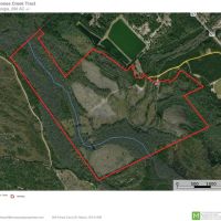 Long County Jones Creek Tract images 2