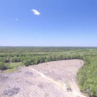 Long County Jones Creek Tract images 3