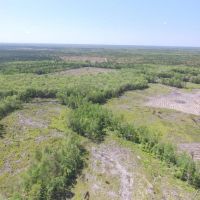 Long County Jones Creek Tract images 5