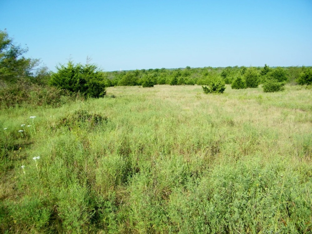 110 Acre Hunting Land with Creek in Pawnee County featured image