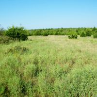 110 Acre Hunting Land with Creek in Pawnee County