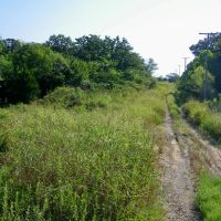 110 Acre Hunting Land with Creek in Pawnee County images 4