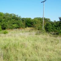 110 Acre Hunting Land with Creek in Pawnee County images 5