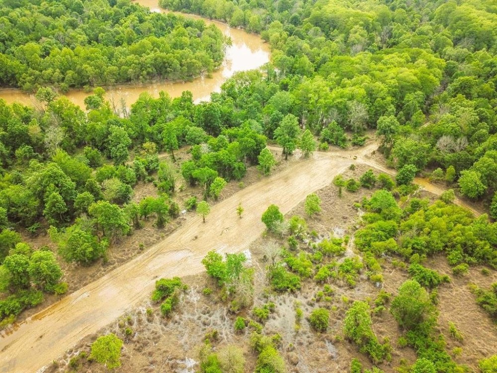 Hunting land for sale in Port Gibson MS featured image