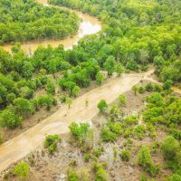 Hunting land for sale in Port Gibson MS