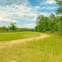 Hunting land for sale in Port Gibson MS images 2