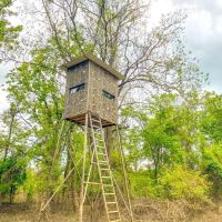 Hunting land for sale in Port Gibson MS images 4