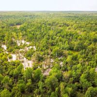 Land for Sale on the Big Black River Claiborne County MS