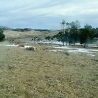 Four Bar Five Ranch images 3
